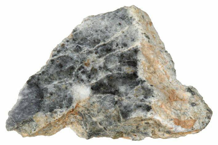 Lunar Meteorite ( g) Section - Bechar #348204